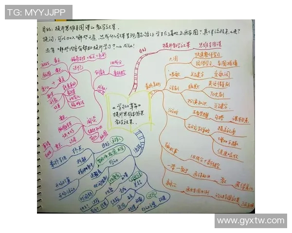 乒乓球场上的奋斗与梦想：吴芳的深度对话与人生启示